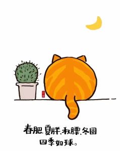 一只橘猫Ya~的钢琴谱