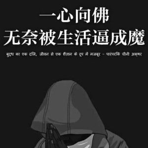 的演奏视频