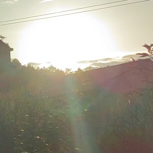 Maybe的演奏视频