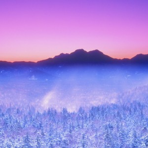 睡去的个人空间