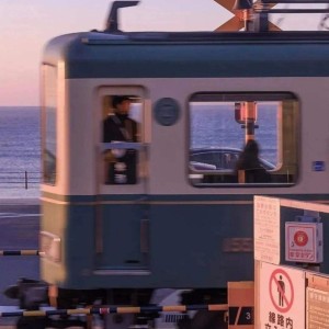 风与花的演奏视频