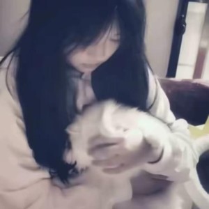 的演奏视频