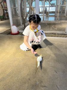 大圣最棒要加油的钢琴谱