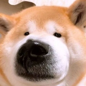 139****9020的钢琴谱