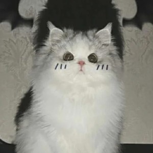 151****2777的个人空间