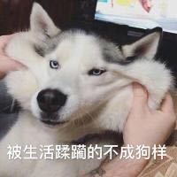 （._.？）？（开朗中尉粉丝）的钢琴谱