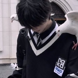 Beaiuy『洛逸』✨️的钢琴谱
