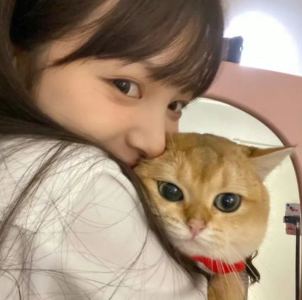 献给爱丽丝的演奏视频