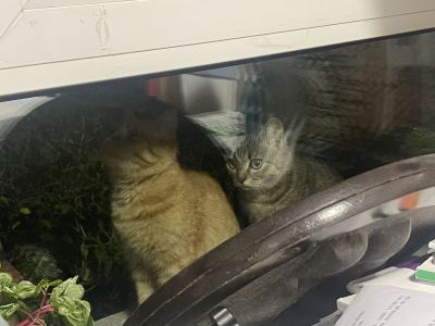 jiajiahehe的钢琴谱