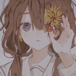 的演奏视频