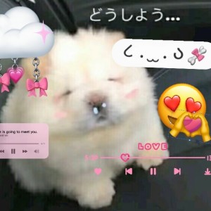 鱼饼ᵇᵃᵇʸ💗的钢琴谱