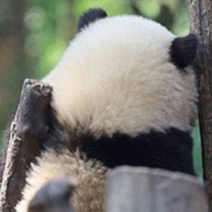 今天也要练琴的钢琴谱