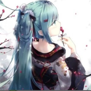 的演奏视频