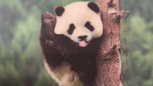 念念呀的个人空间