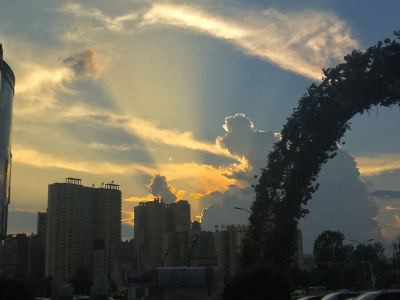 180****8861的钢琴谱