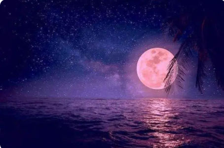 幻化成风的演奏视频