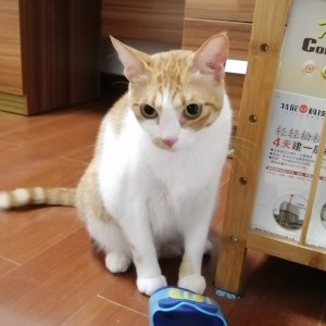 世界魔方顶尖高手就是我的个人空间