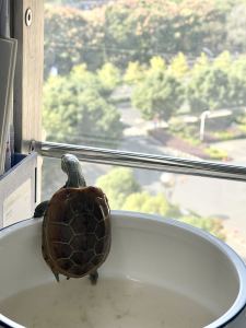 156****9052的個人空間