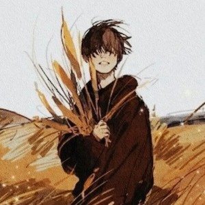 所念皆星河的演奏视频