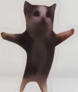 D大调卡农的演奏视频