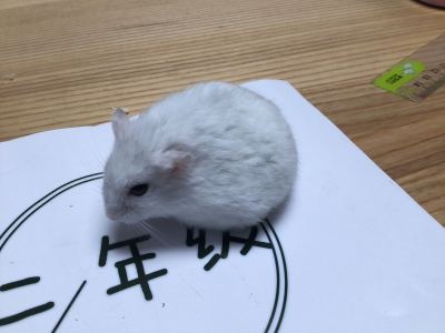 138****0568的钢琴谱