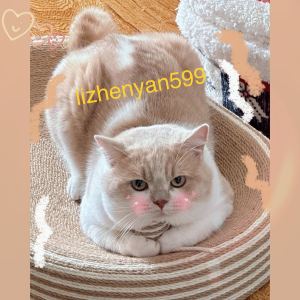 至少还有你的演奏视频