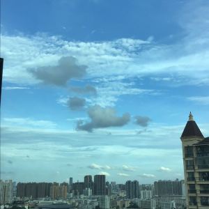136****8202的钢琴谱