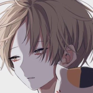 Piano prince的钢琴谱