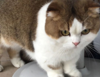 星曲的个人空间