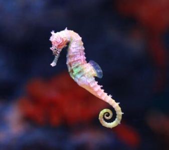 186****6049的钢琴谱