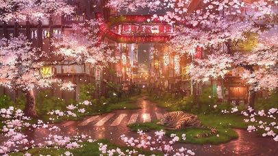 落掉了的樱花的钢琴谱