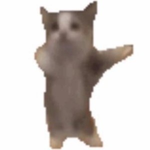 耍把戏的演奏视频