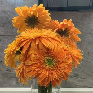 蛋仔派对,鹅蛋的个人空间