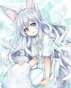 最佳侦探助理的个人空间