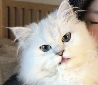 182****3942的钢琴谱