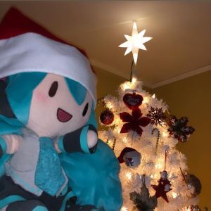 Yuri on ICE的演奏视频