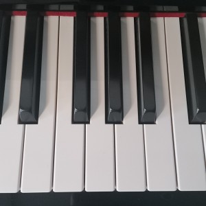 189****6662的钢琴谱