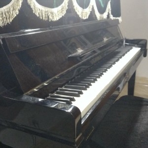 小七136****5710的钢琴谱