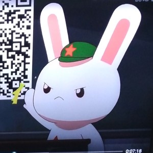 酷.种花家的花卷(那兔)的个人空间