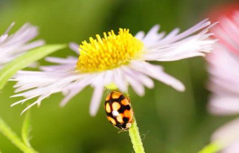牵着蜗牛散步的个人空间