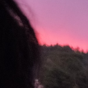 &兮澈✘~.(。・㉨・。)φ(的个人空间