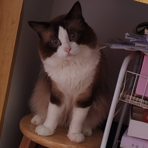 冰格格的個人空間