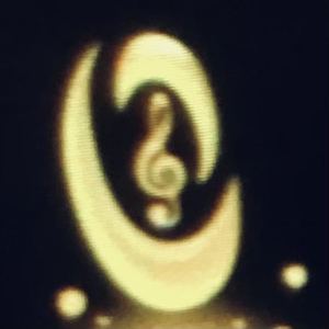 虫虫钢琴的个人空间