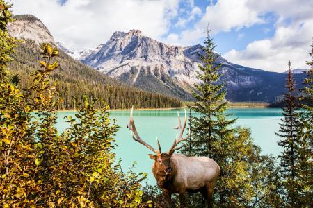 187****4116的钢琴谱