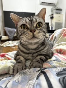 爱江山更爱美人的演奏视频