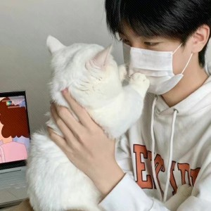 恋安.的钢琴谱