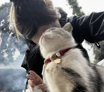 木加心的钢琴谱