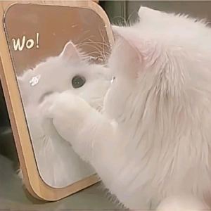 139****9102的钢琴谱