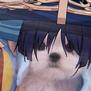 重云的狗（也爱散宝）的钢琴谱