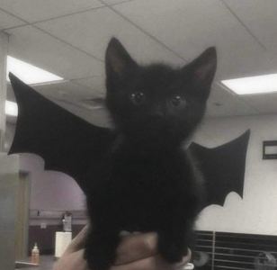 忘记灰·的钢琴谱